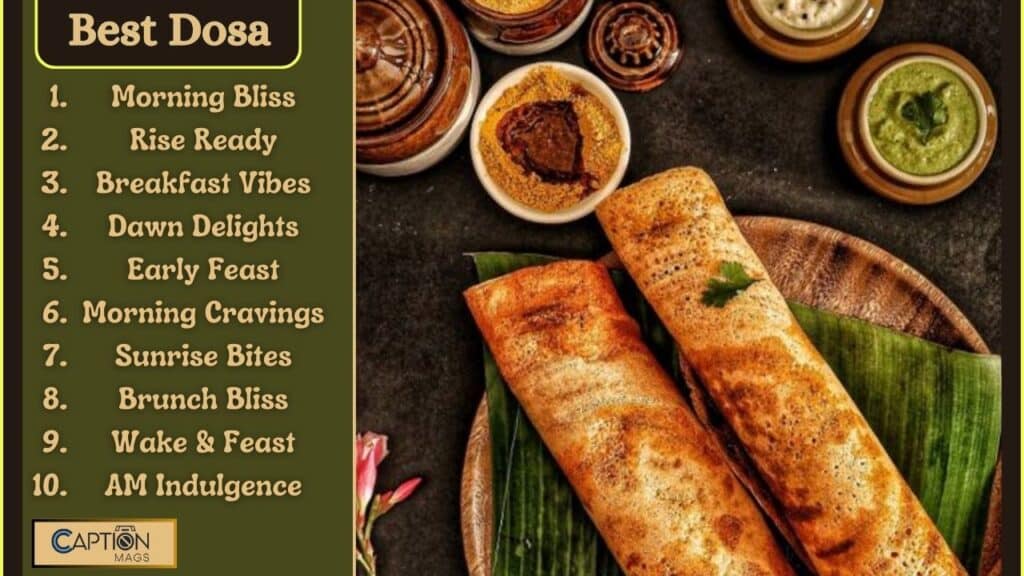 130+ Best Dosa Captions For Instagram In 2024
