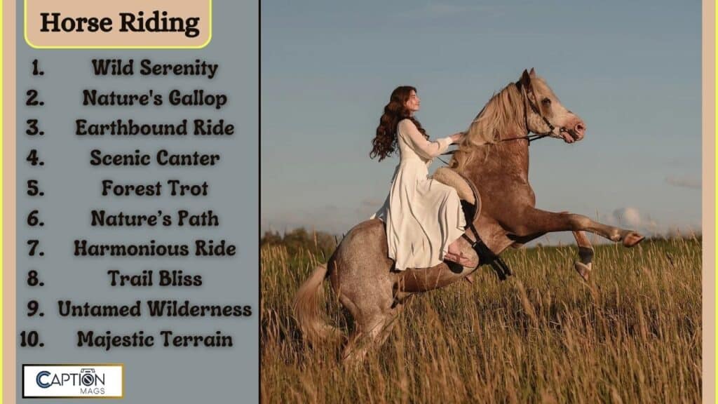 Top 145+ Horse Riding Captions For Instagram
