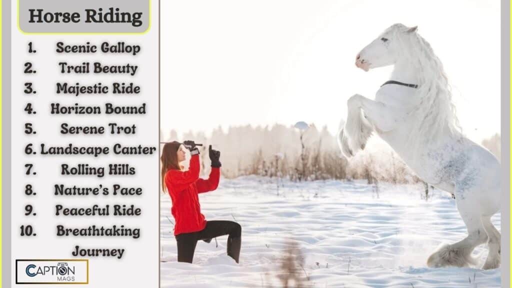 Top 145+ Horse Riding Captions For Instagram
