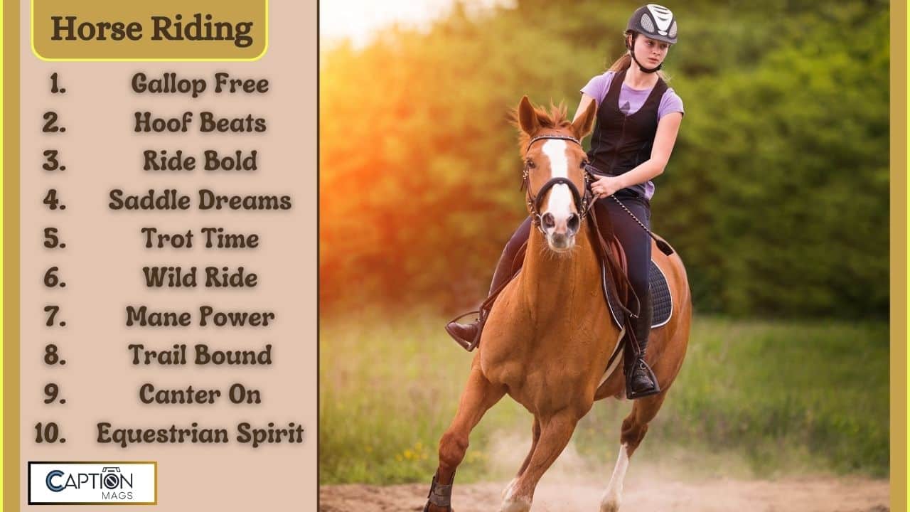 Top 145+ Horse Riding Captions For Instagram