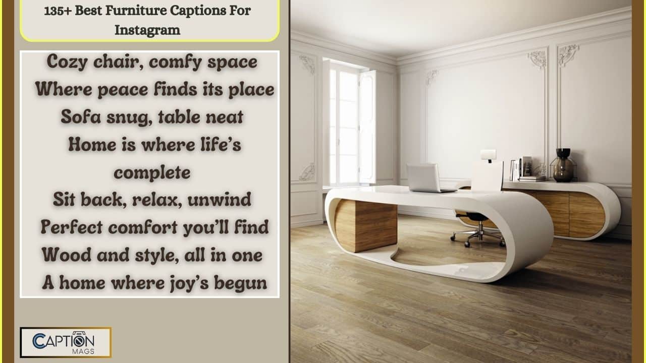 135+ Best Furniture Captions For Instagram