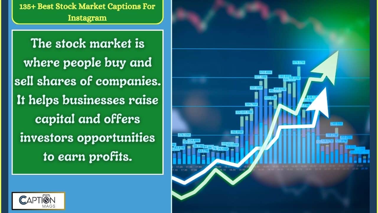 135+ Best Stock Market Captions For Instagram