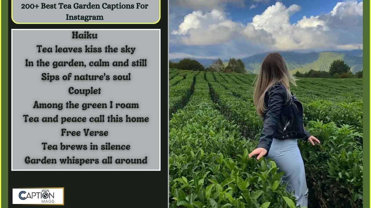 200+ Best Tea Garden Captions For Instagram