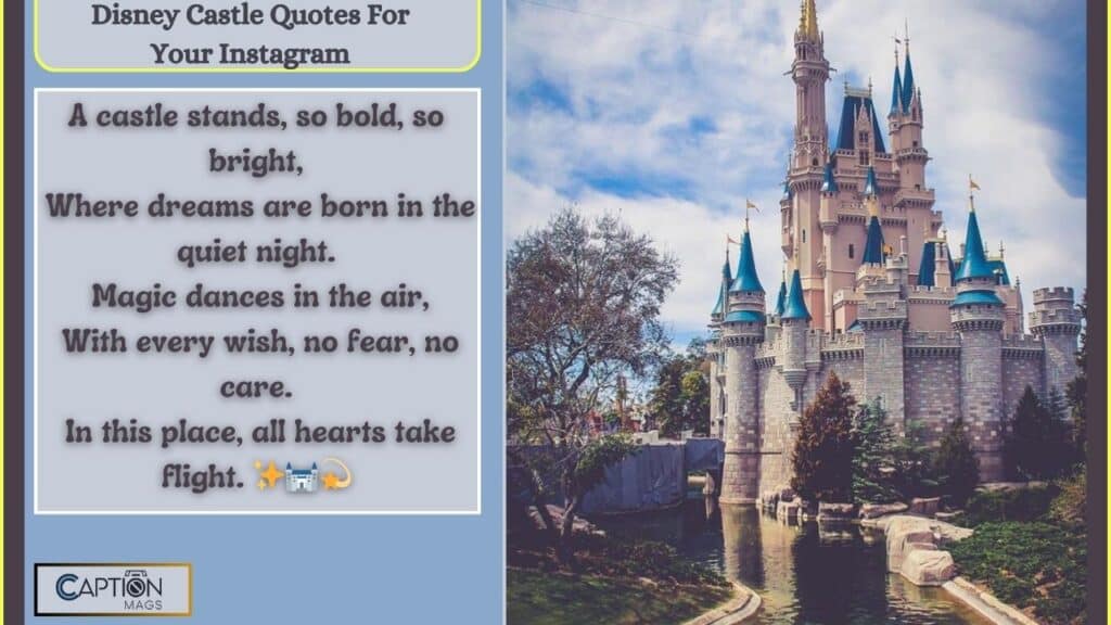 Disney Castle Captions For Instagram