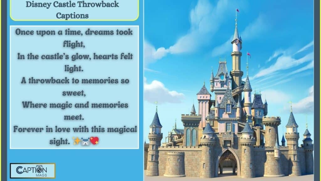 Disney Castle Captions For Instagram