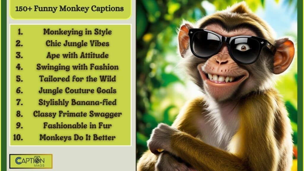 150+ Best Funny Monkey Captions For Instagram