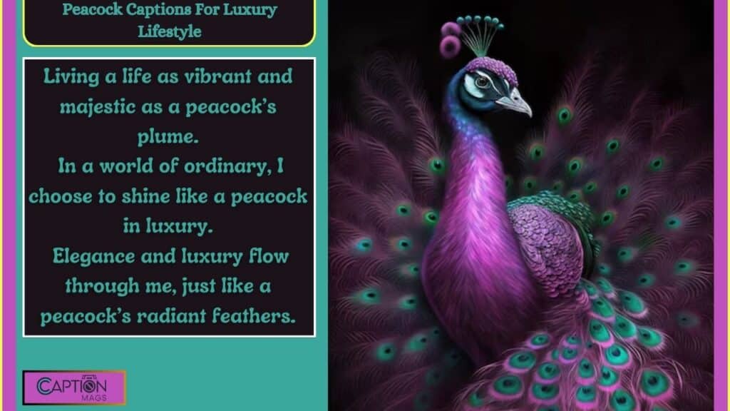 Beauty Of Peacock Captions For Instagram