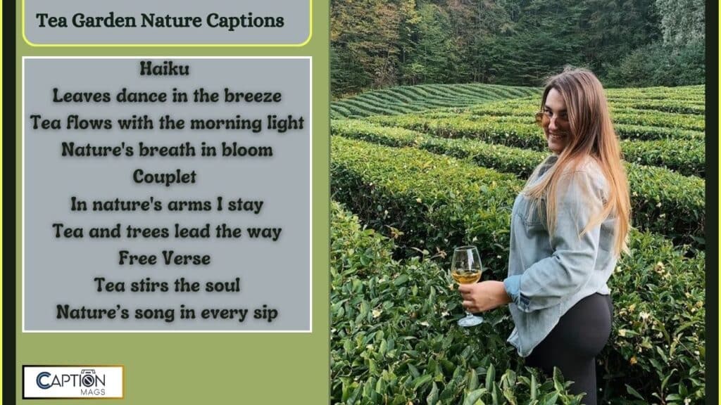 Tea Garden Captions