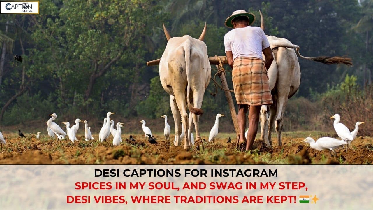 399+ Best Desi Captions For Instagram (2025)