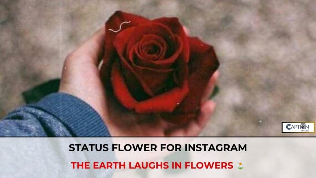 instagram flower quotes