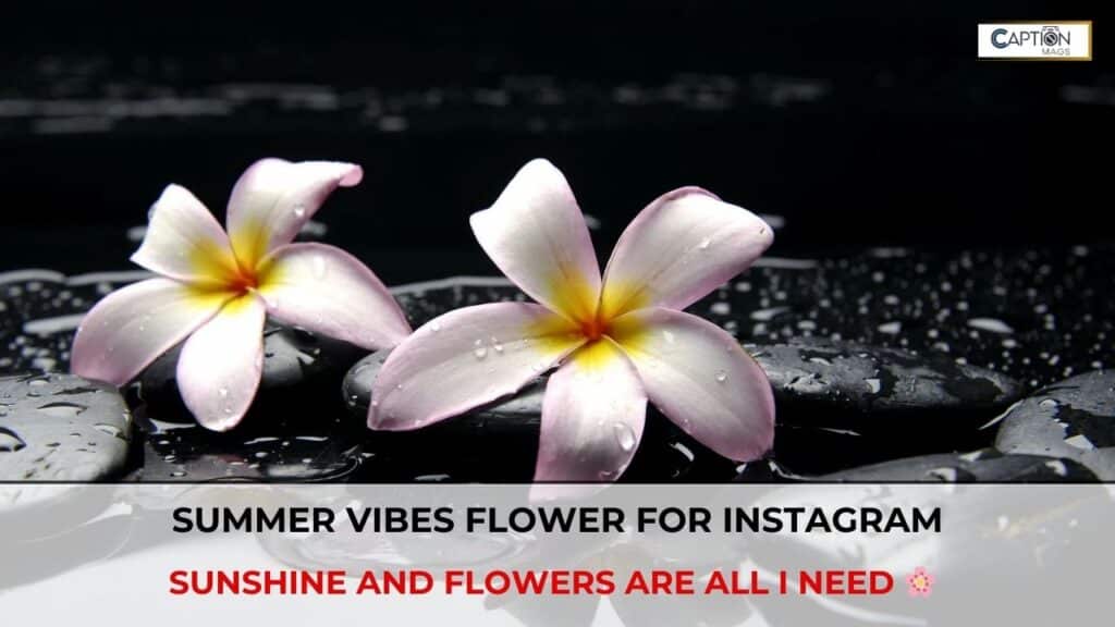 flower quotes for instagram