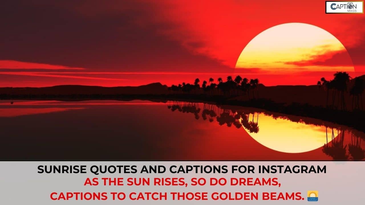 299+ Sunrise Quotes And Captions For Instagram (2025)