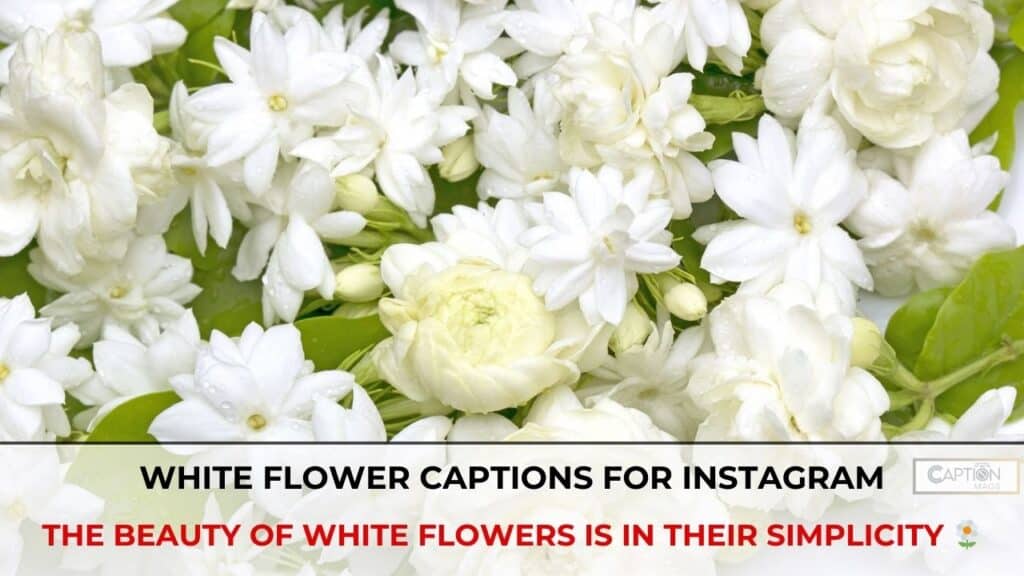 flowers captions for instagram