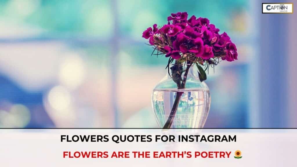 flower quotes for instagram