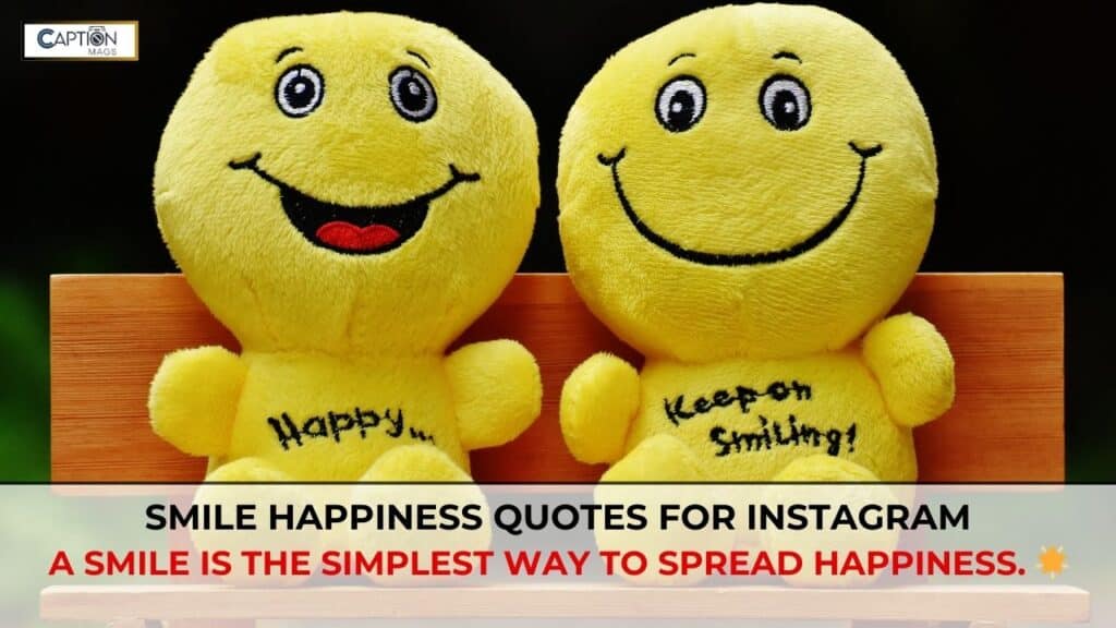 smile quotes for instagram

